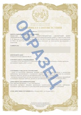 Образец Сертификат СТО 01.064.00220722.2-2020 Сестрорецк Сертификат СТО 01.064.00220722.2-2020 